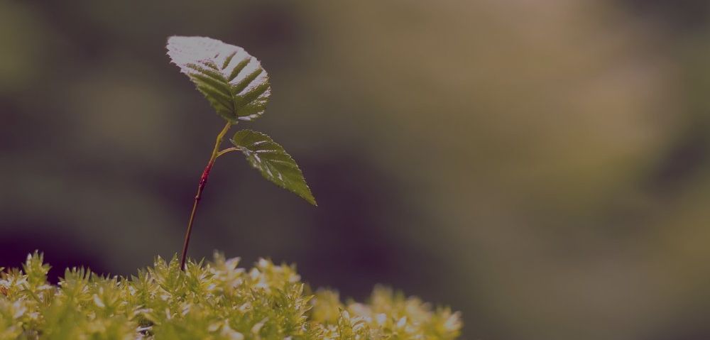 Дублирование кода или создание универсальных компонентов?